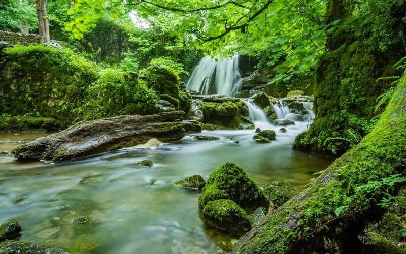 独特高性能高性能